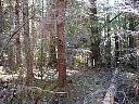 DSCN0007.JPG