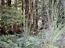 DSCN0009.JPG